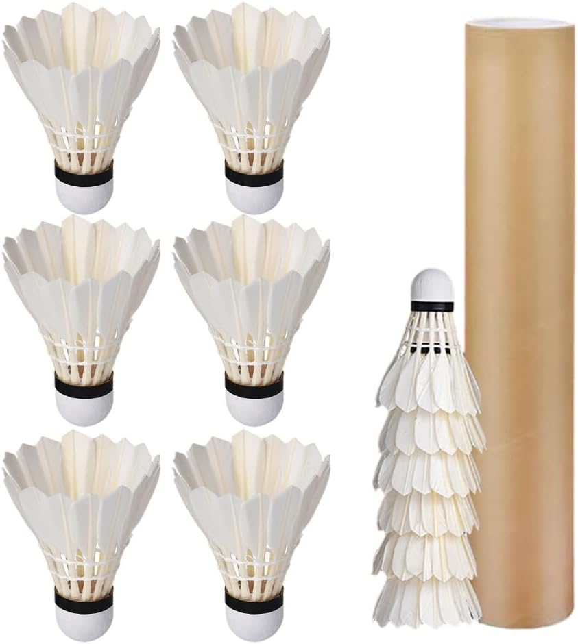 12 Pcs Shuttlecocks, Professional Badminton Shuttlecock Lightweight Training Sport Badminton Balls High Speed Badminton Birdies